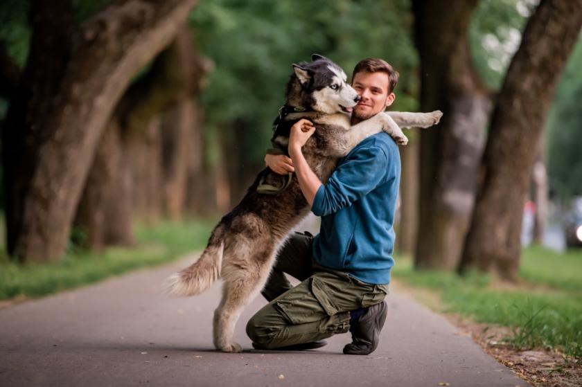 muž a husky